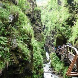 Raggaschlucht Karintia