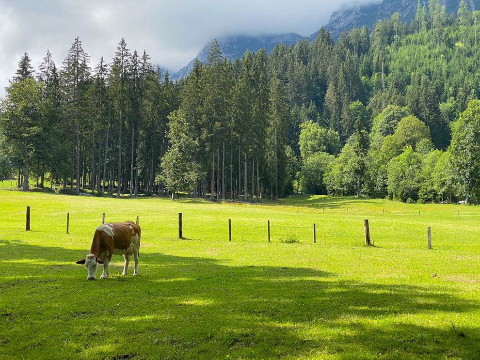 Ramsau am Dachstein