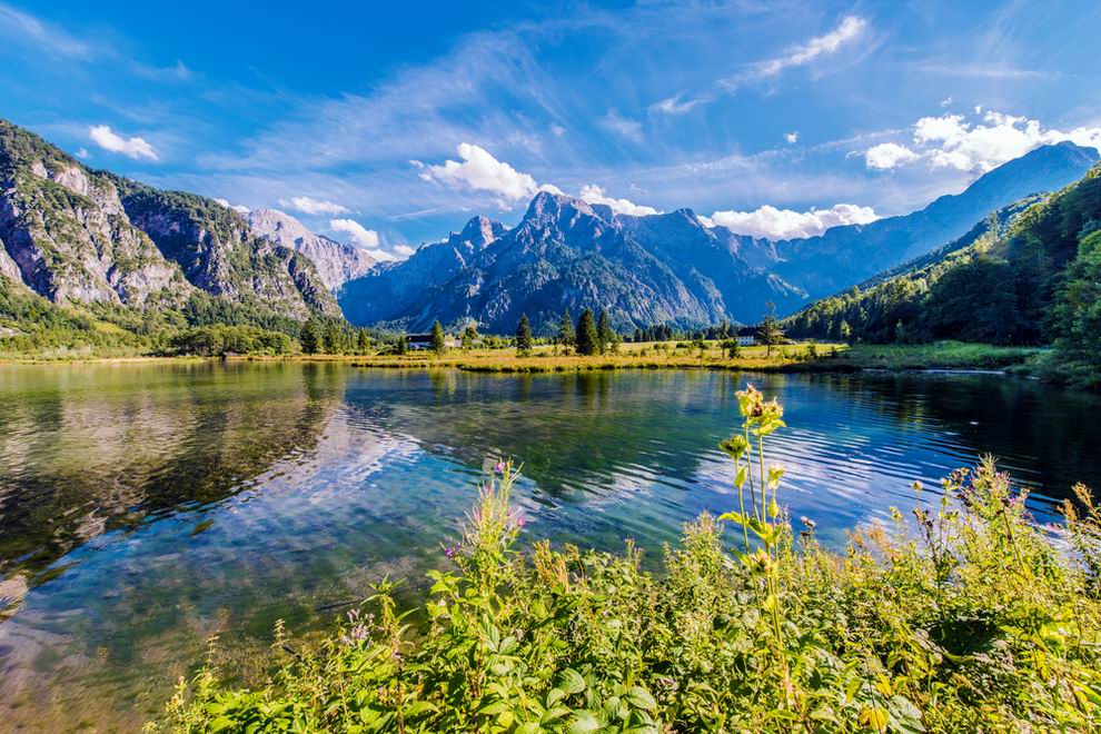 almsee